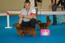 Championnat de France 2012 Gina 1ère Exc Intermédiaire CACS CACIB